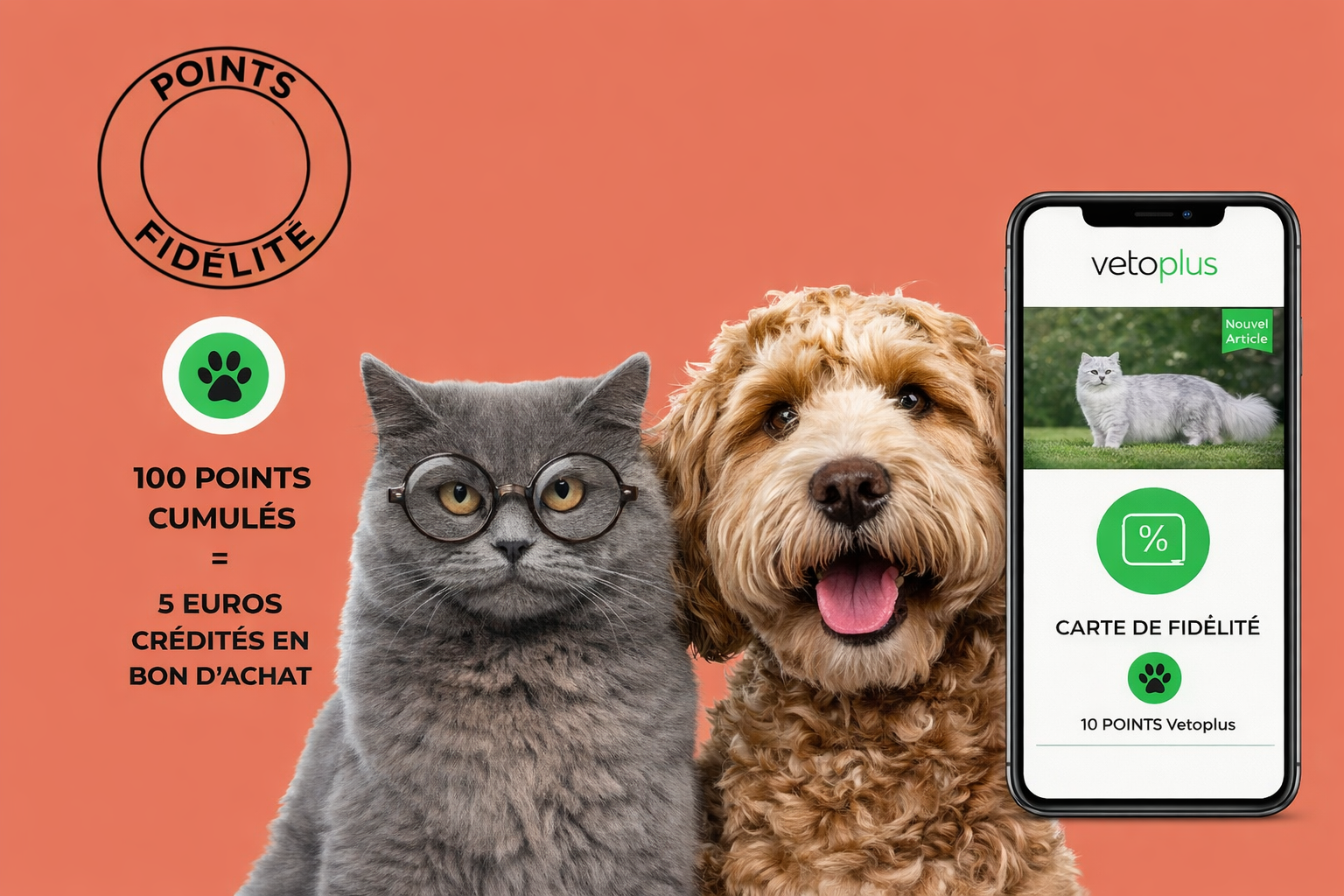 Système de points de fidélité 